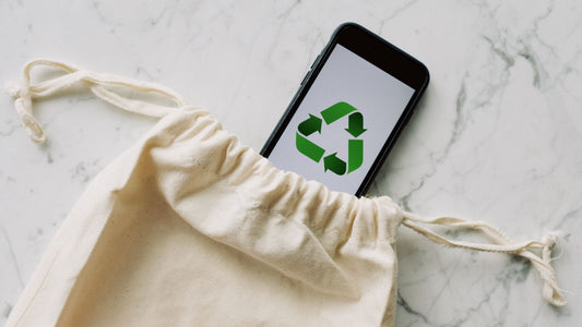 Sustainable Style: The Eco-Friendly Choice for Your Home